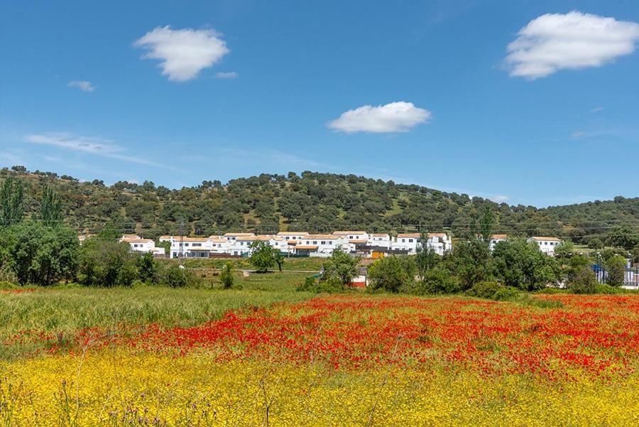 Casa Rural Nacimiento Del Hueznar - Tomillo 17 Сан-Николас-дель-Пуэрто Экстерьер фото